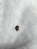 This is a 3/8" long Ankylosaurus tooth from the Hell Creek formation in Garfield County, Montana. It is in good condition with no significant repair or restoration  L-3/8" W-1/4"