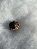 This is a Pachycephalosaurus spike cluster from the Hell Creek Formation in Garfield County, Montana. It is in excellent condition with no repair or restoration. This is a rare find! L 1" W- 1 1/4"