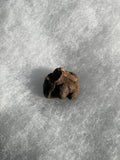 This is a Pachycephalosaurus spike cluster from the Hell Creek Formation in Garfield County, Montana. It is in excellent condition with no repair or restoration. This is a rare find! L 1" W- 1 1/4"