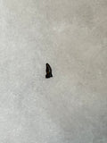 Thescelosaurus tooth discovered in the Hell Creek Formation. This is a very nice addition to any collection. This tooth is in excellent quality.  Length 1/4"  Width 1/8" 