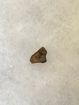 Found in the Hell Creek Formation, these dinosaurs with parrot-like beaks, are a rather uncommon find. This tooth is in good condition.  Length 1/2"  Width 3/8"