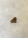 Found in the Hell Creek Formation, these dinosaurs with parrot-like beaks, are a rather uncommon find. This tooth is in good condition.  Length 1/2"  Width 3/8"