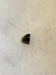 Found in the Hell Creek Formation, these dinosaurs with parrot-like beaks, are a rather uncommon find. This tooth is in good condition.  Length 3/8"  Width 1/2"