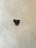 Found in the Hell Creek Formation, these dinosaurs with parrot-like beaks, are a rather uncommon find. This tooth is in good condition.  Length 1/4"  Width 1/4"