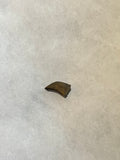 This is an awesome tooth. This would be a nice addition to any collection!   Length -  1/2 inches  Width -  3/8 inches   anterior serrations 100%  posterior 0%