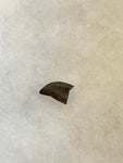 This is an awesome tooth. This would be a nice addition to any collection! This tooth is rated as excellent condition.  Length -  3/4 inches  Width -  7/16 inches   anterior serrations 95%  posterior 0%