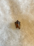 This is a Triceratops Tooth from the Hell Creek Formation in Garfield County, Montana. It is in good condition with no significant repair or restoration.  Length- 3/4" Width -1/2"