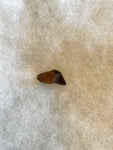 This is a Triceratops Tooth from the Hell Creek Formation in Garfield County, Montana. It is in good condition with no significant repair or restoration.  Length- 3/4" Width -1/2"