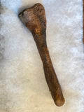 This is a 9.5" Raptor Limb Bone from the Hell Creek Formation in Garfield County, Montana. It is in good condition with no significant repair or restoration.  Length- 9 1/2" Width -2 3/4"