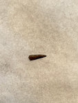 This Ricardo tooth was collected from the Hell Creek formation in Garfield County, Montana. It is in excellent condition with no significant repair or restoration.  Length ~ 3/8" Width ~ 1/8"