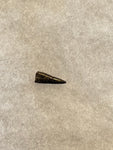 This Ricardo tooth was collected from the Hell Creek formation in Garfield County, Montana. It is in excellent condition with no significant repair or restoration.  Length ~ 1/2" Width ~ 1/4"