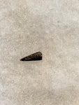 This Ricardo tooth was collected from the Hell Creek formation in Garfield County, Montana. It is in excellent condition with no significant repair or restoration.  Length ~ 1/2" Width ~ 1/4"