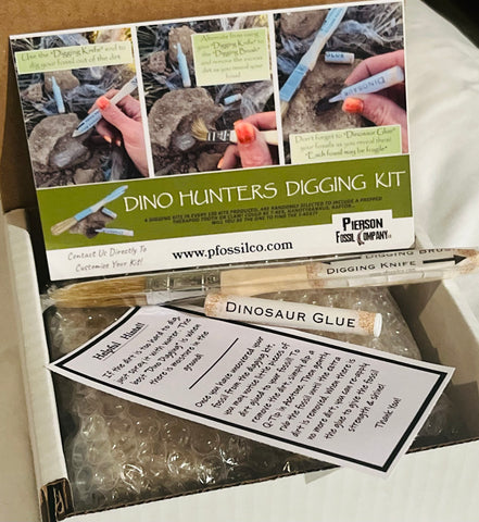 Kit de creusement Dino Hunters