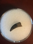 Paronychodon was a small theropod dinosaur genus, from the late cretaceous period, 75-66 million years ago.  This tooth was found in the Hell Creek Formation in Garfield County Montana.  Length- 1/2inch  Width-1/8inch 