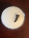 Paronychodon was a small theropod dinosaur genus, from the late cretaceous period, 75-66 million years ago.  This tooth was found in Garfield County Montana.  Length- 3/8inch  Width-1/8inch 