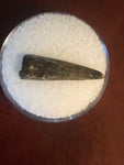 This Ricardo tooth was collected from the Hell Creek formation in Garfield County, Montana. It is in good condition with no significant repair or restoration.  Length ~ 1" Width ~ 1/4"