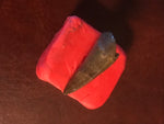  This is a 3/4" long Raptor tooth from the Hell Creek formation in Garfield County, Montana. It is in excellent condition with no significant repair or restoration.  L-3/4" W-3/8"