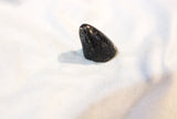 Tyrannosaurus Rex Tooth Tip