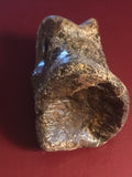 This is a 2 1/2" long unidentified Theropod digit from the Hell Creek formation in Garfield County, Montana. It is in good condition with no significant repair or restoration.  L-2 1/2 W-1 7/8